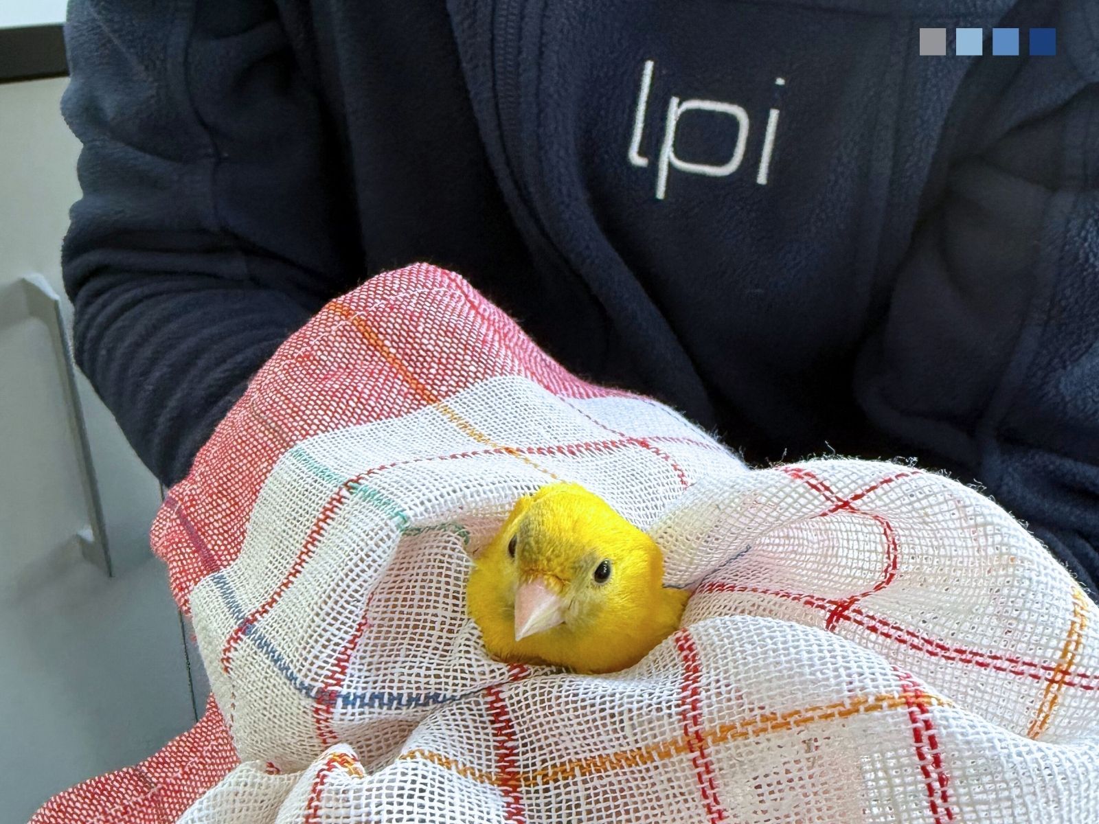 News Details LPI Ingenieurgesellschaft mbH