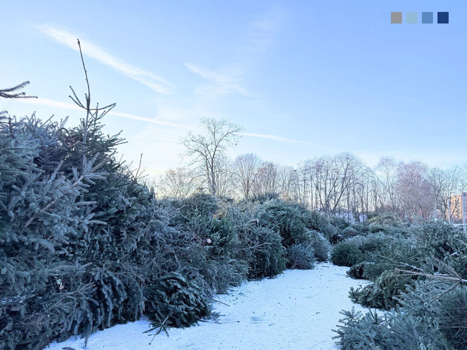 News Details LPI Ingenieurgesellschaft mbH