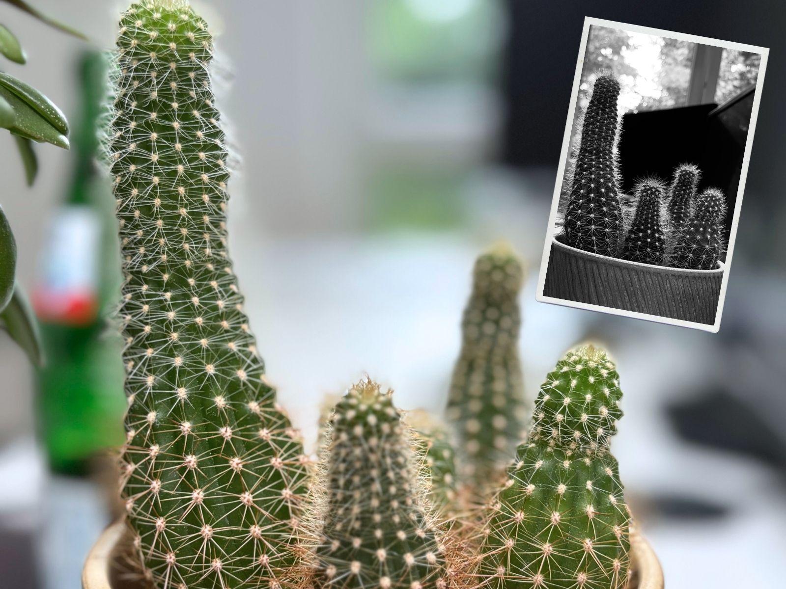 News Details LPI Ingenieurgesellschaft mbH