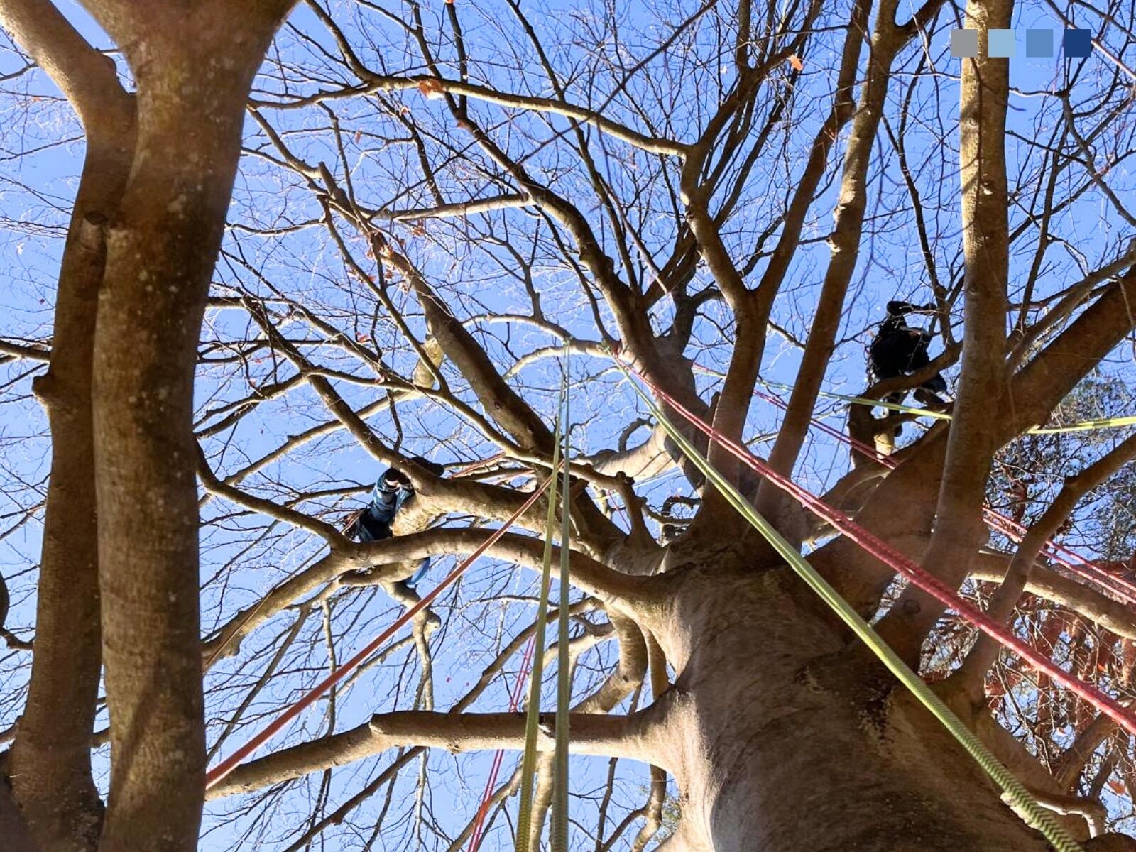 News Details LPI Ingenieurgesellschaft mbH