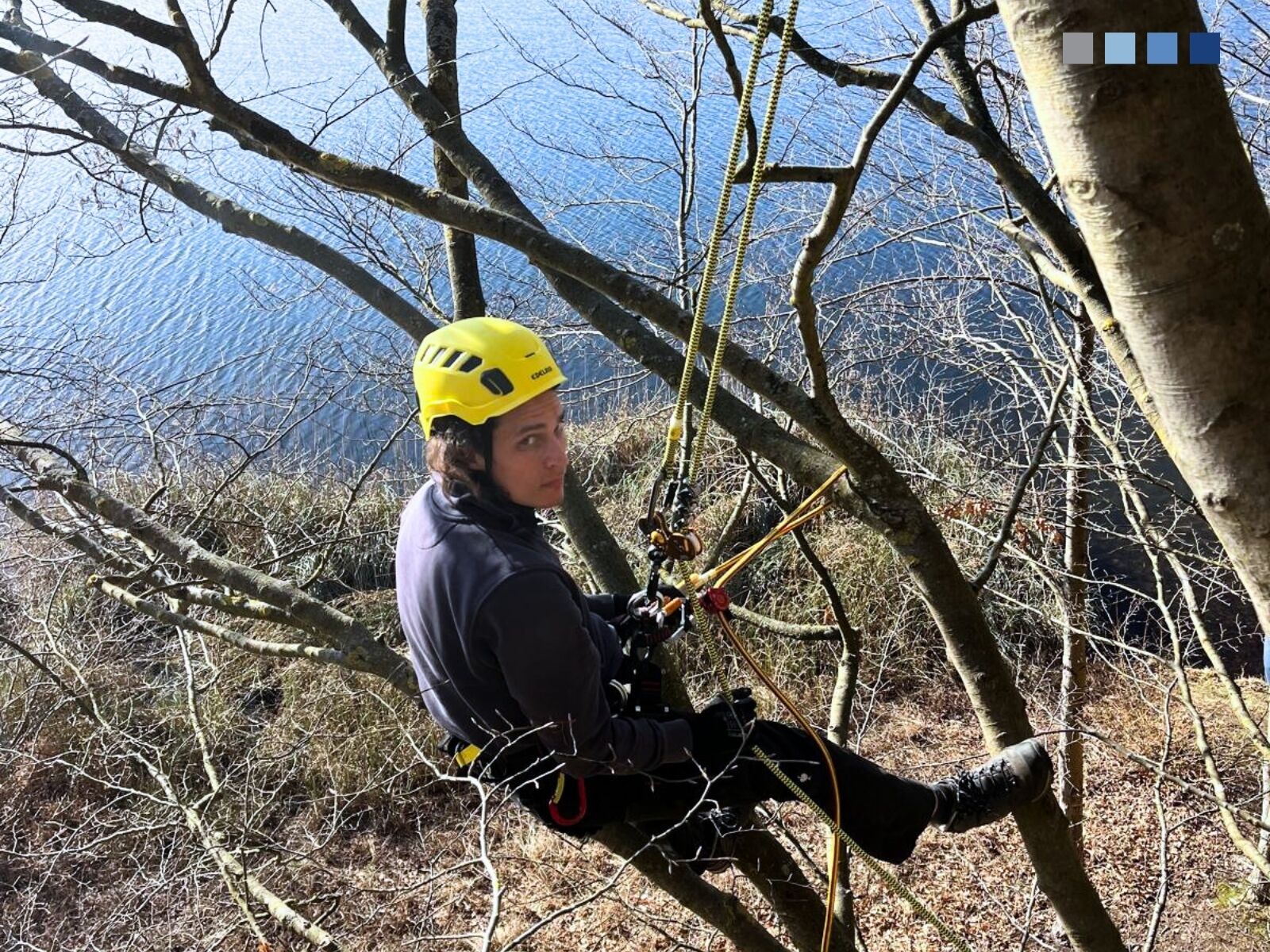 News Details LPI Ingenieurgesellschaft mbH